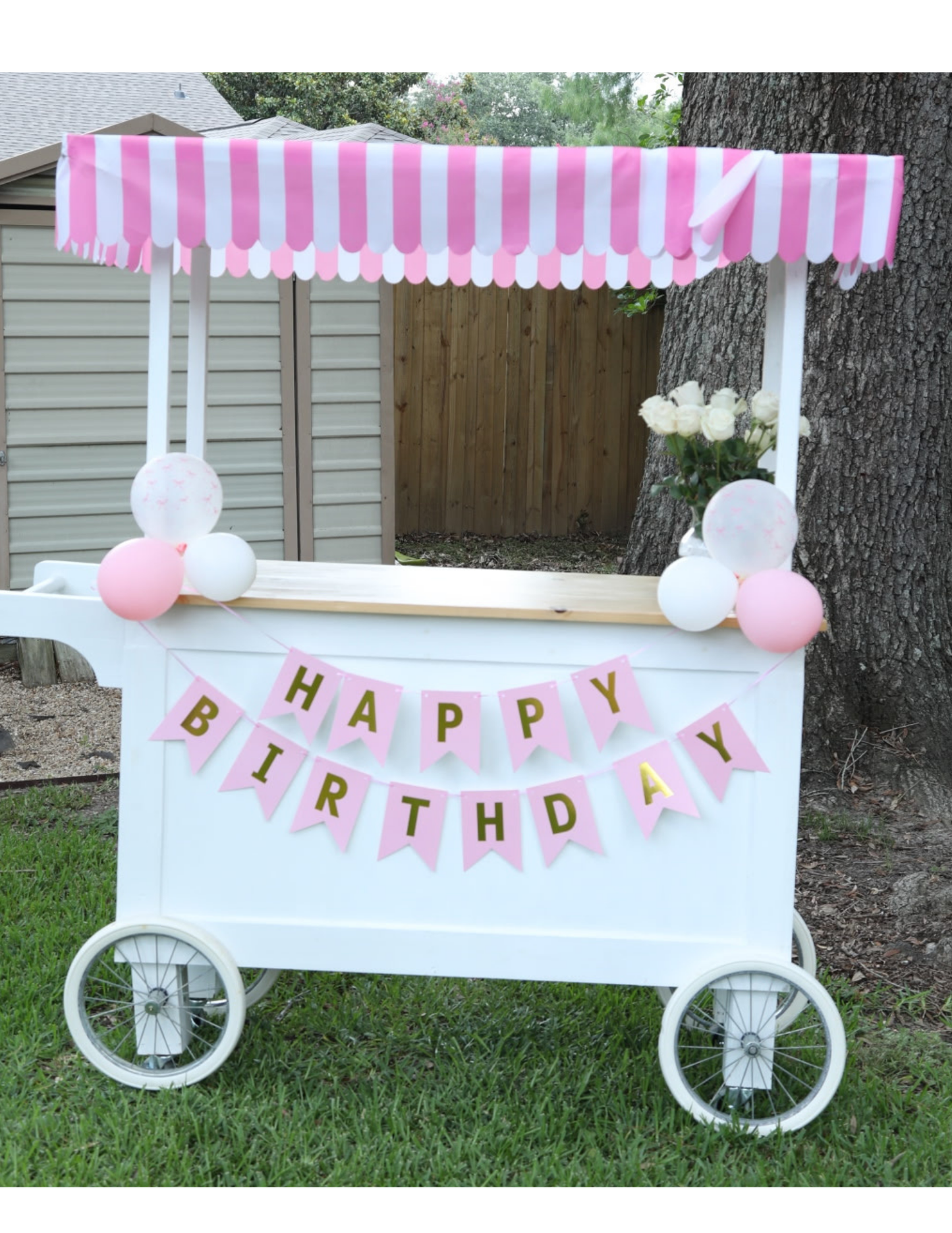 Party Cart